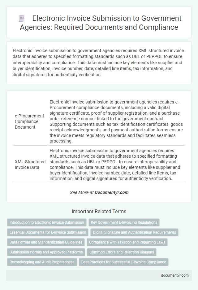 Electronic Invoice Submission to Government Agencies: Required Documents and Compliance