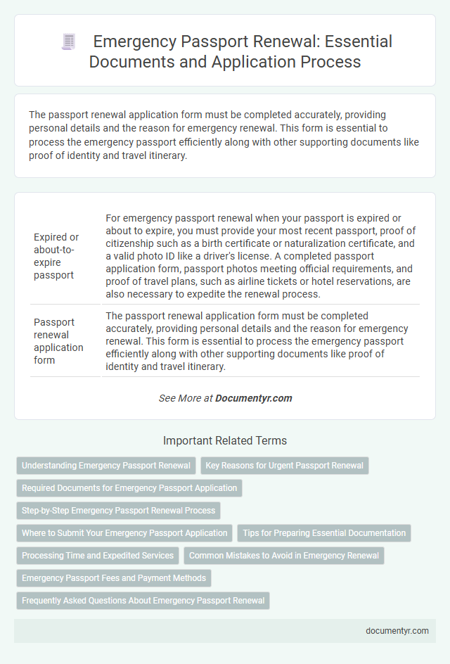 Emergency Passport Renewal: Essential Documents and Application Process