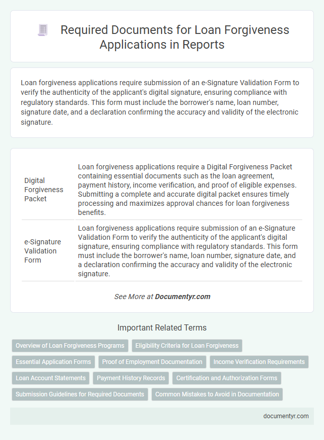 Required Documents for Loan Forgiveness Applications in Reports