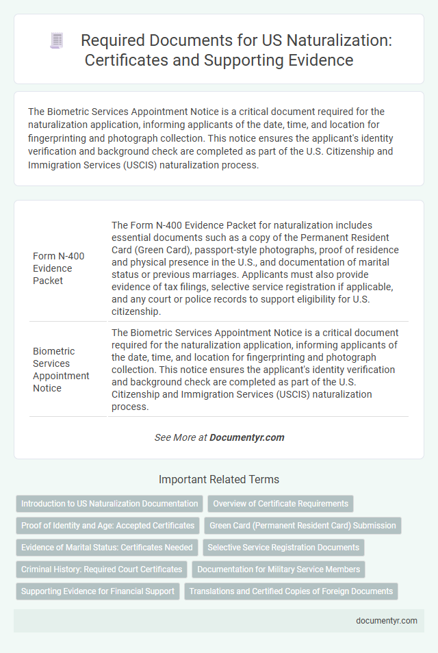 Required Documents for US Naturalization: Certificates and Supporting Evidence