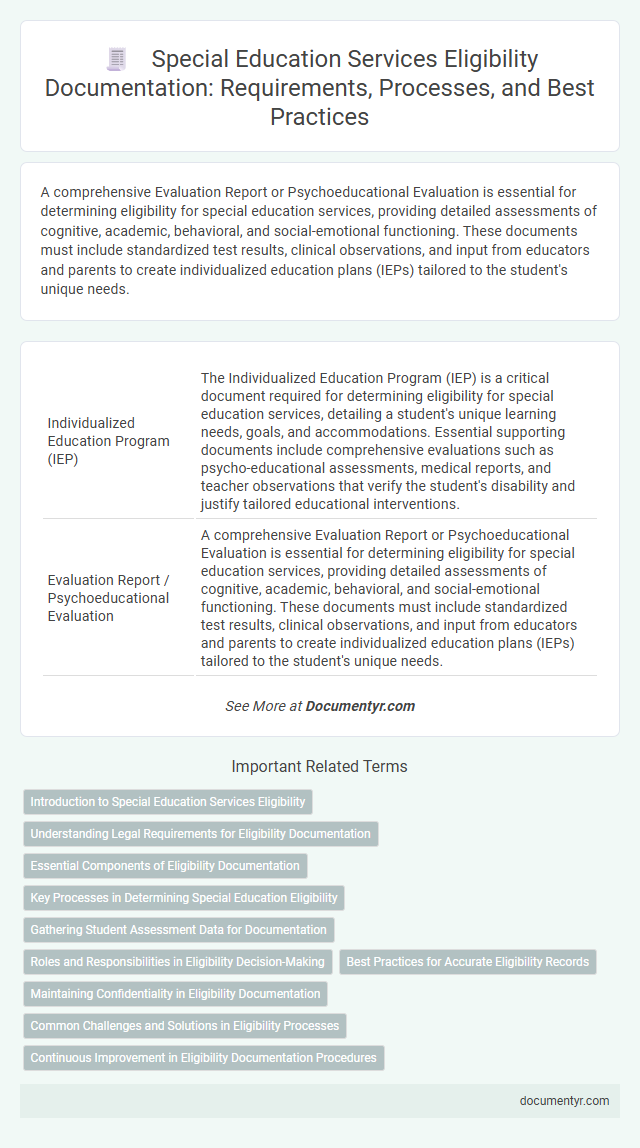 Special Education Services Eligibility Documentation: Requirements, Processes, and Best Practices