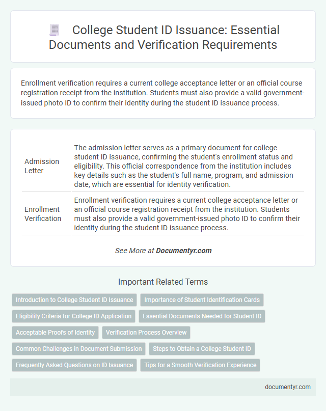 College Student ID Issuance: Essential Documents and Verification Requirements