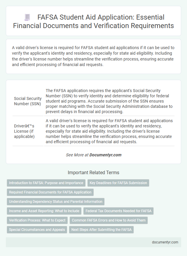 FAFSA Student Aid Application: Essential Financial Documents and Verification Requirements