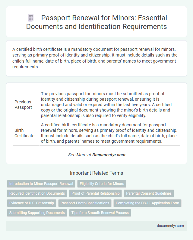 Passport Renewal for Minors: Essential Documents and Identification Requirements