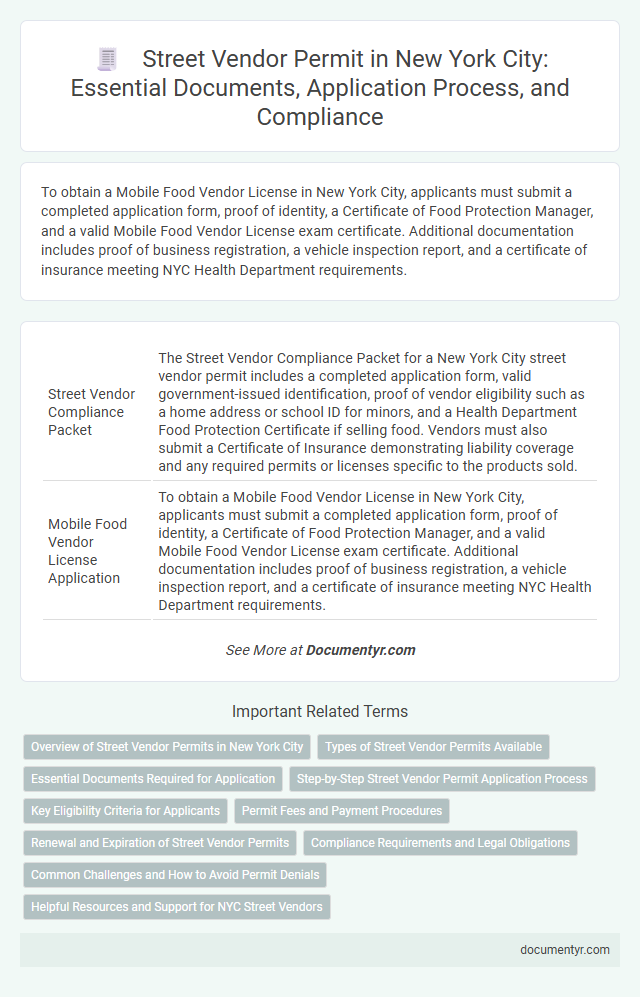 Street Vendor Permit in New York City: Essential Documents, Application Process, and Compliance