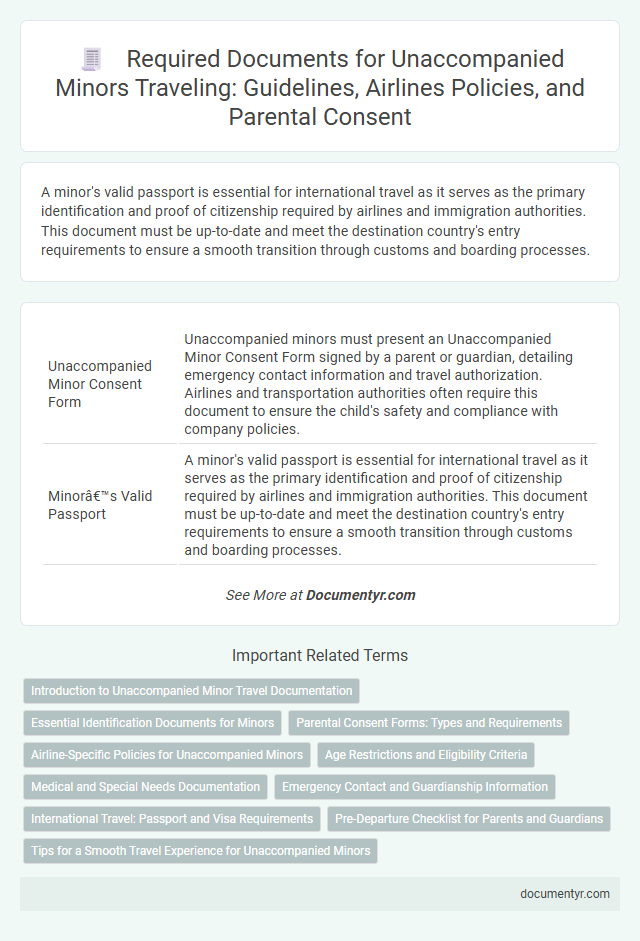 Required Documents for Unaccompanied Minors Traveling: Guidelines, Airlines Policies, and Parental Consent