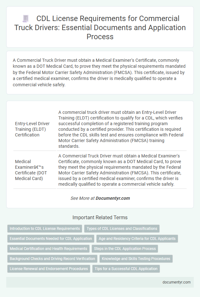 CDL License Requirements for Commercial Truck Drivers: Essential Documents and Application Process