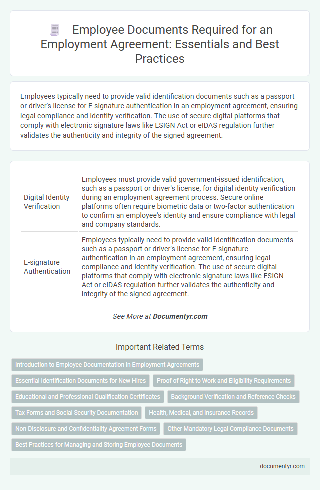 Employee Documents Required for an Employment Agreement: Essentials and Best Practices