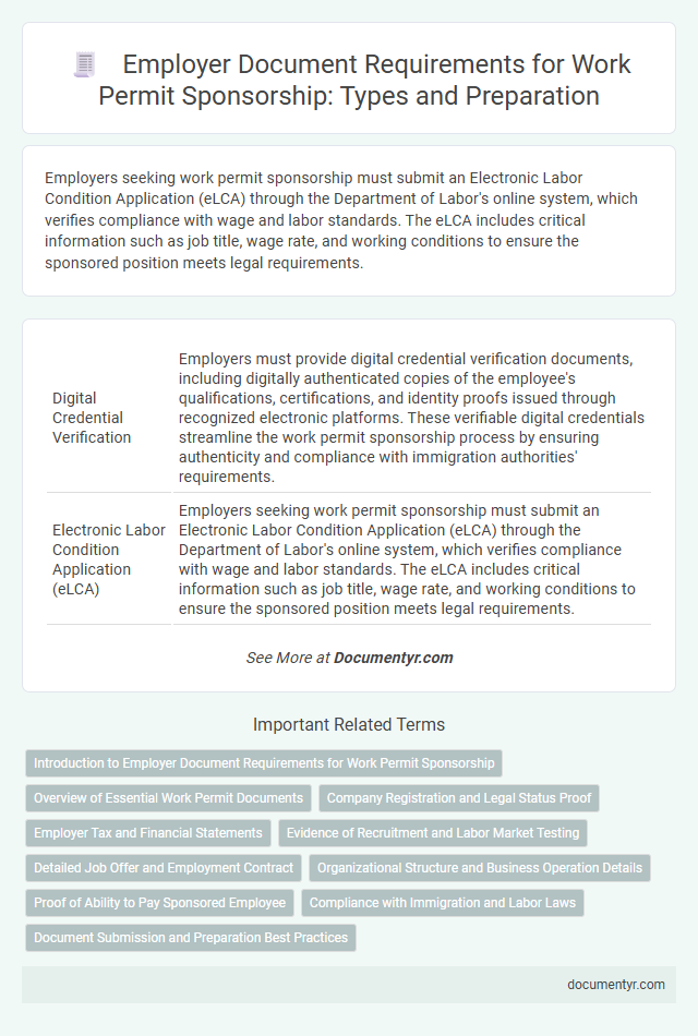 Employer Document Requirements for Work Permit Sponsorship: Types and Preparation