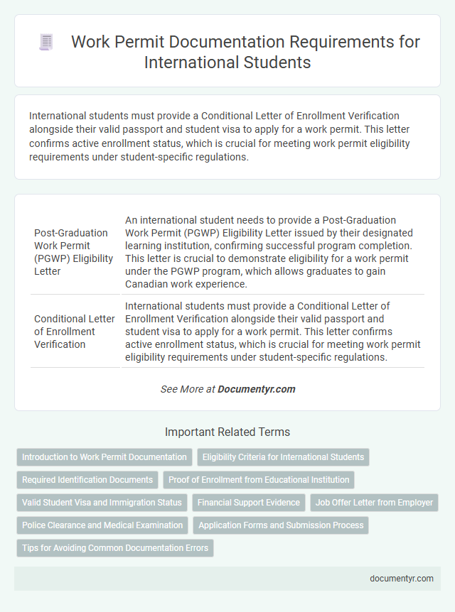 Work Permit Documentation Requirements for International Students