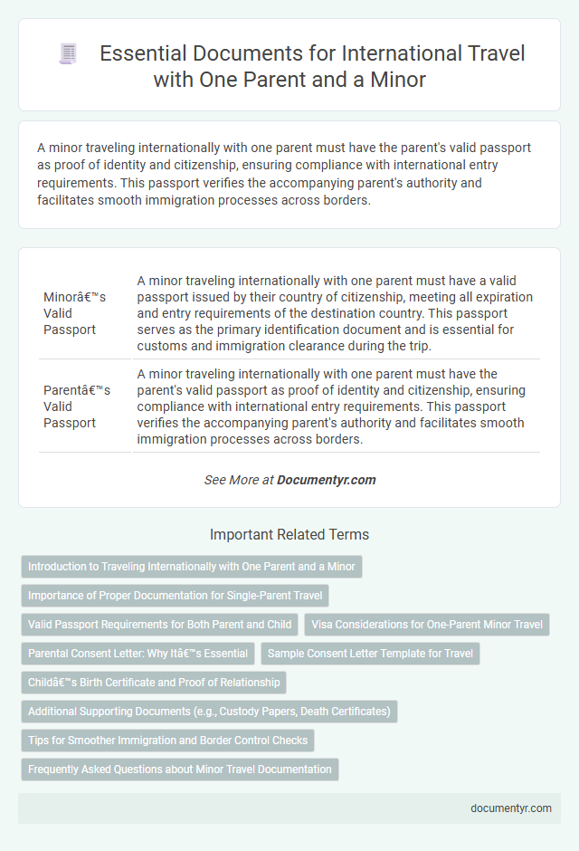 Essential Documents for International Travel with One Parent and a Minor