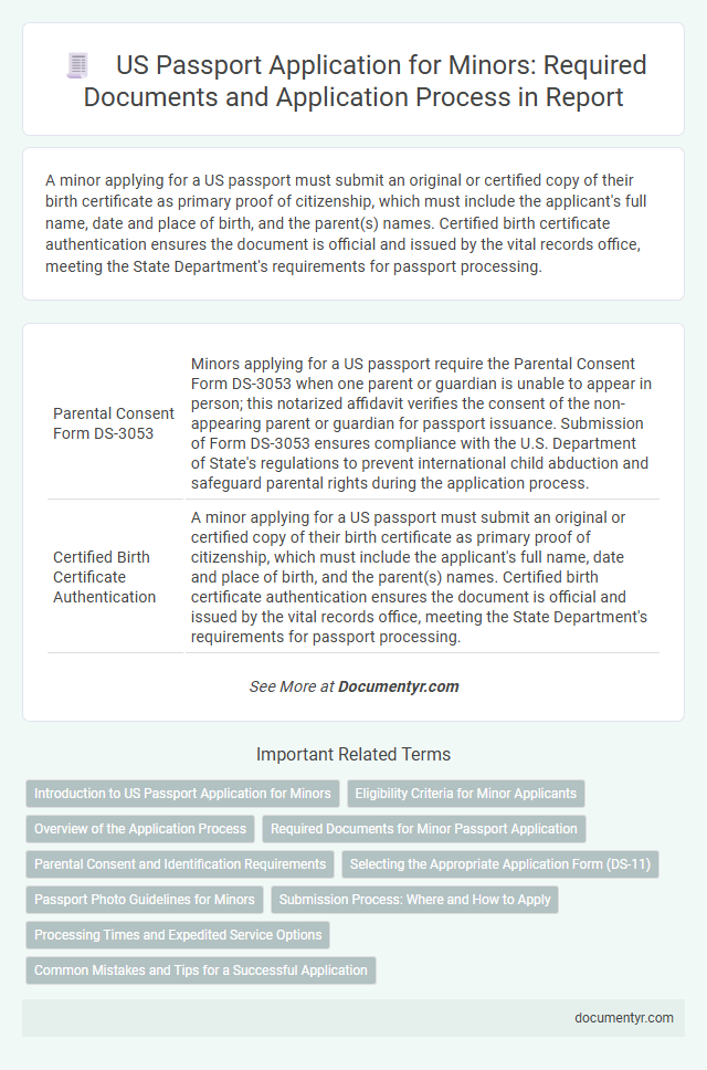 US Passport Application for Minors: Required Documents and Application Process in Report