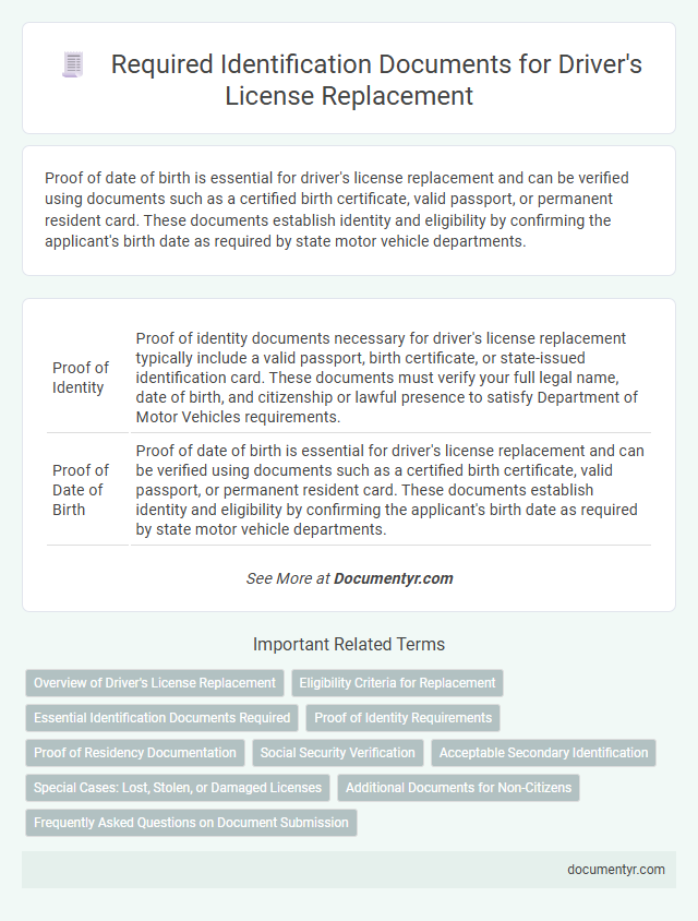 Required Identification Documents for Driver's License Replacement