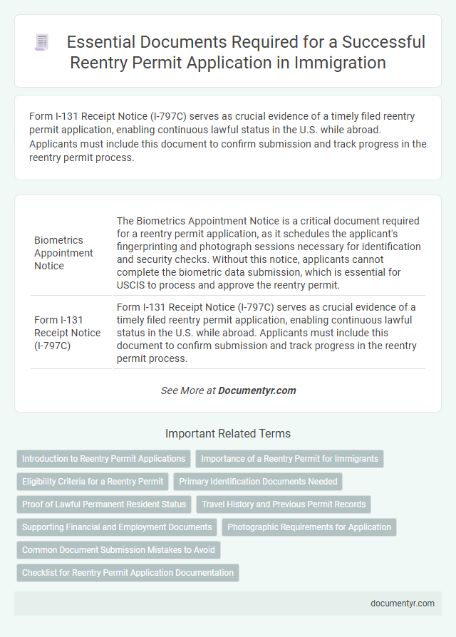 Essential Documents Required for a Successful Reentry Permit Application in Immigration