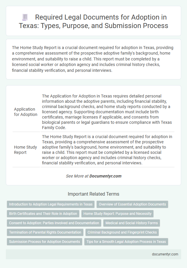 Required Legal Documents for Adoption in Texas: Types, Purpose, and Submission Process