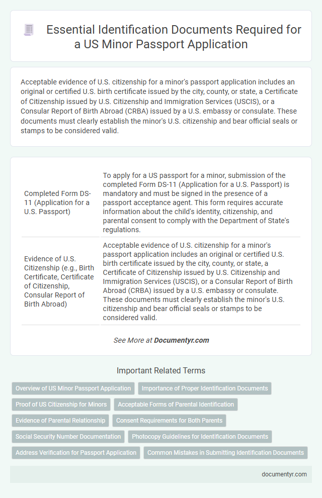Essential Identification Documents Required for a US Minor Passport Application