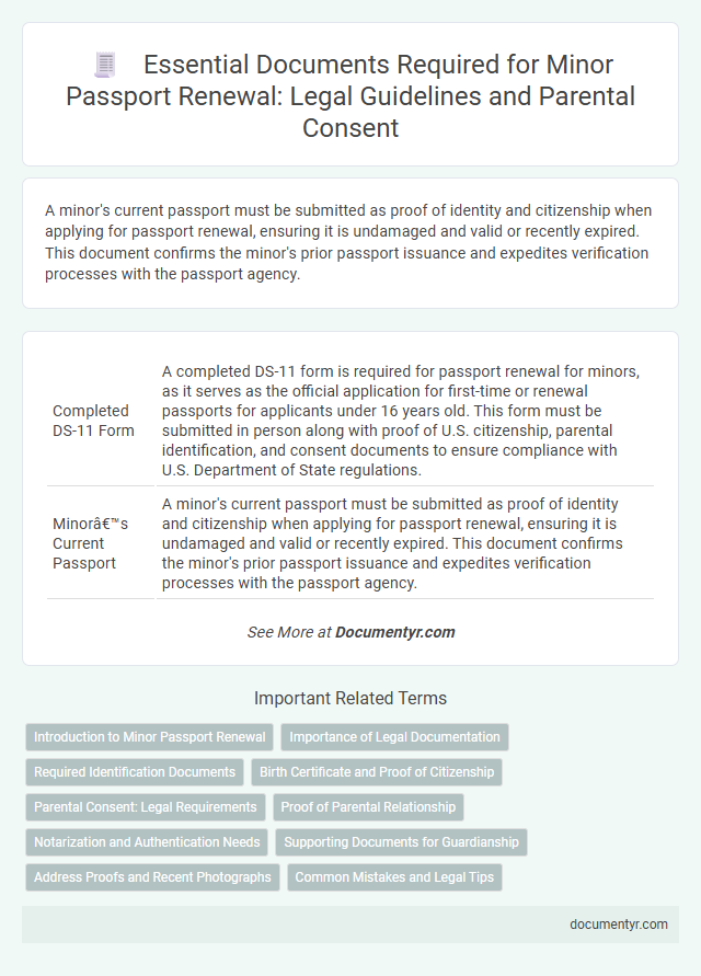 Essential Documents Required for Minor Passport Renewal: Legal Guidelines and Parental Consent