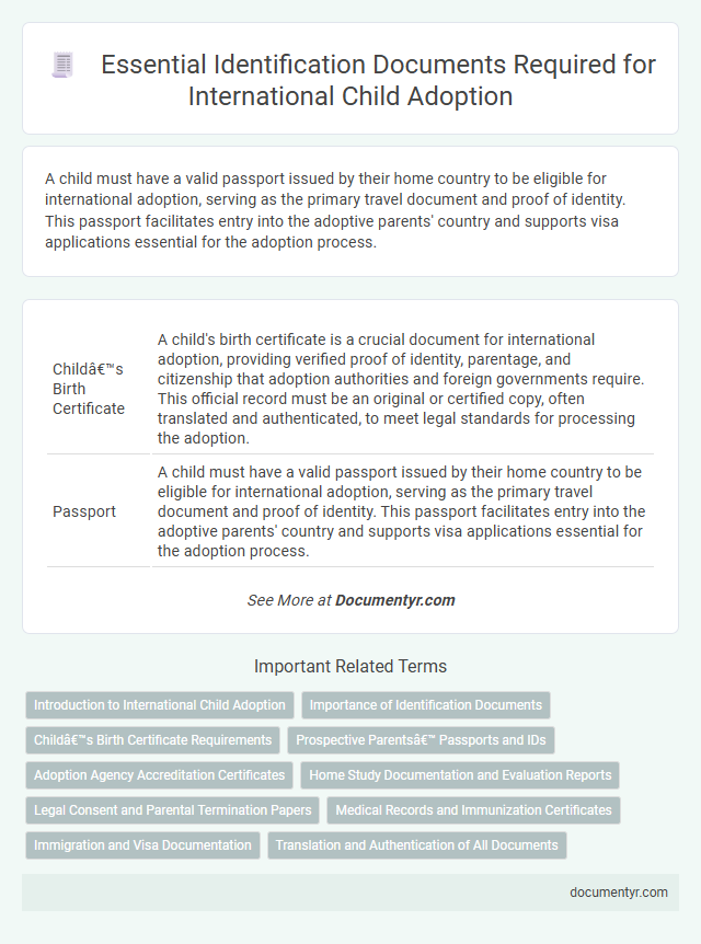 Essential Identification Documents Required for International Child Adoption