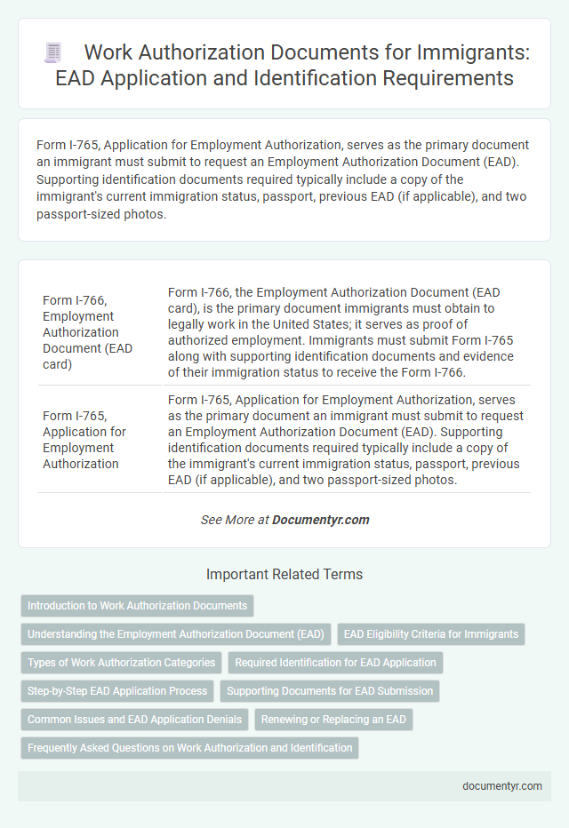 Work Authorization Documents for Immigrants: EAD Application and Identification Requirements