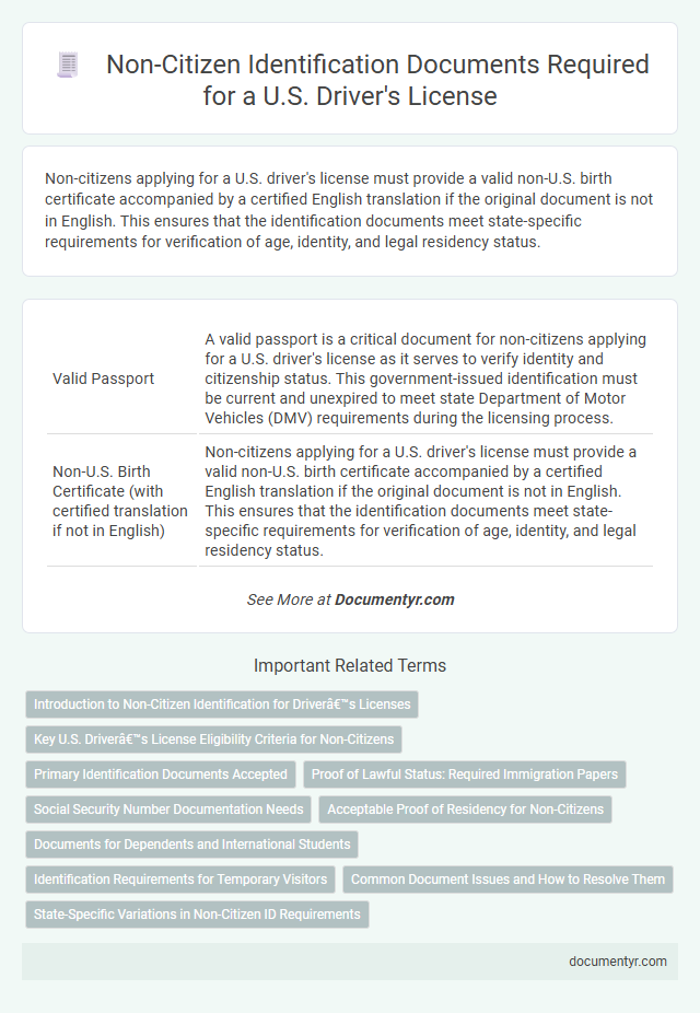 Non-Citizen Identification Documents Required for a U.S. Driver's License