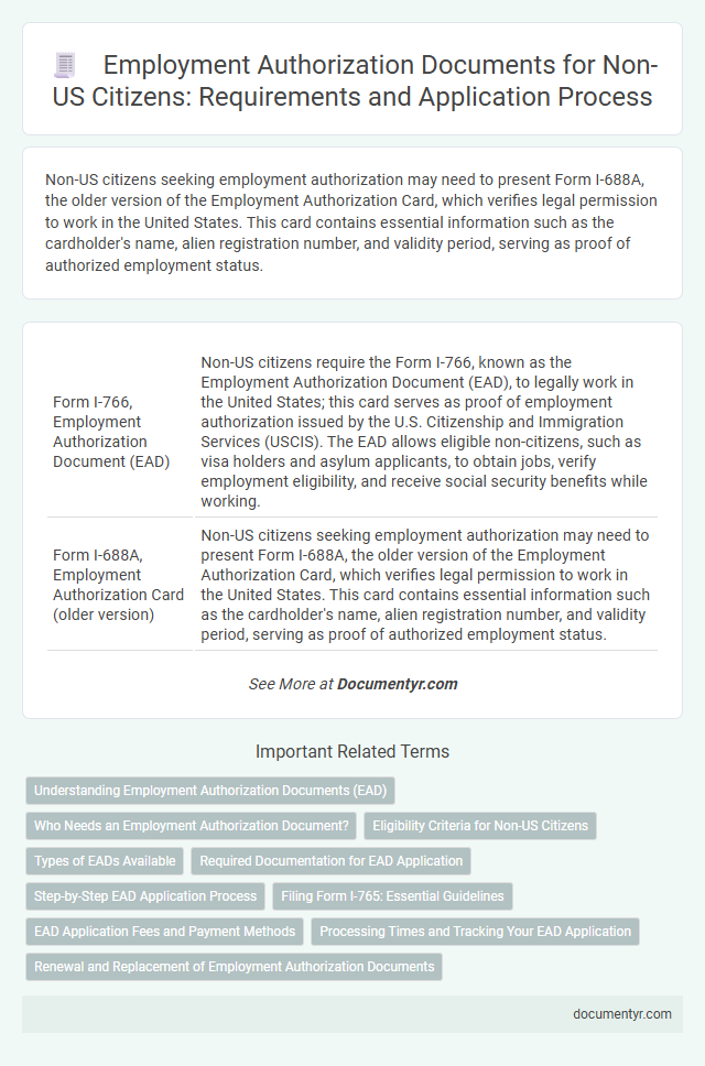 Employment Authorization Documents for Non-US Citizens: Requirements and Application Process