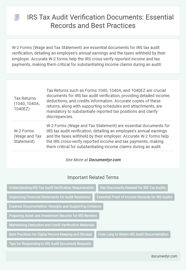 IRS Tax Audit Verification Documents: Essential Records and Best Practices