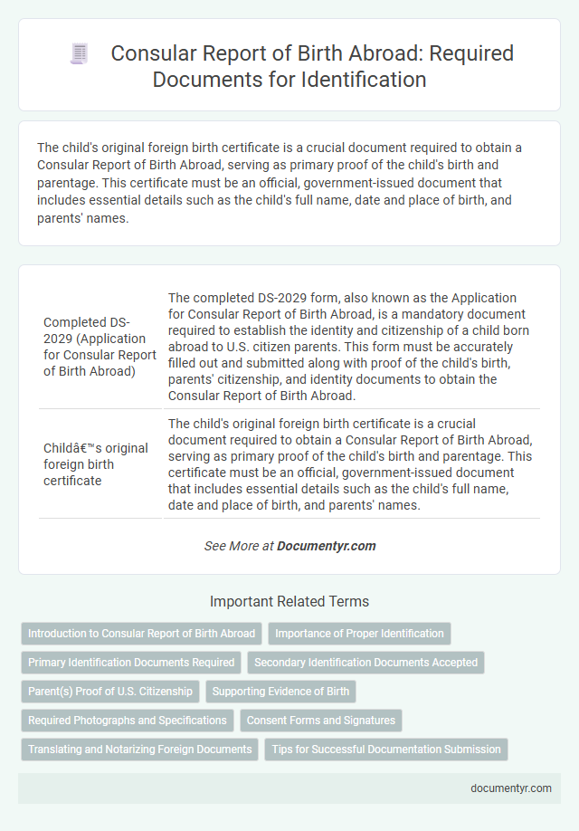 Consular Report of Birth Abroad: Required Documents for Identification