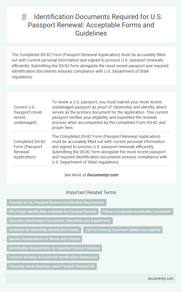 Identification Documents Required for U.S. Passport Renewal: Acceptable Forms and Guidelines