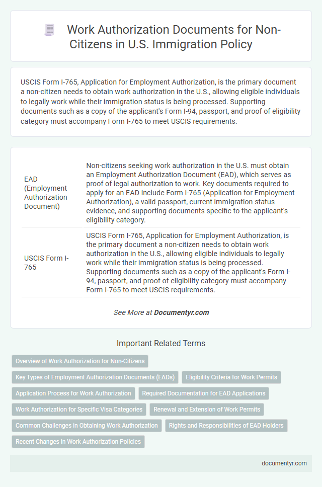 Work Authorization Documents for Non-Citizens in U.S. Immigration Policy