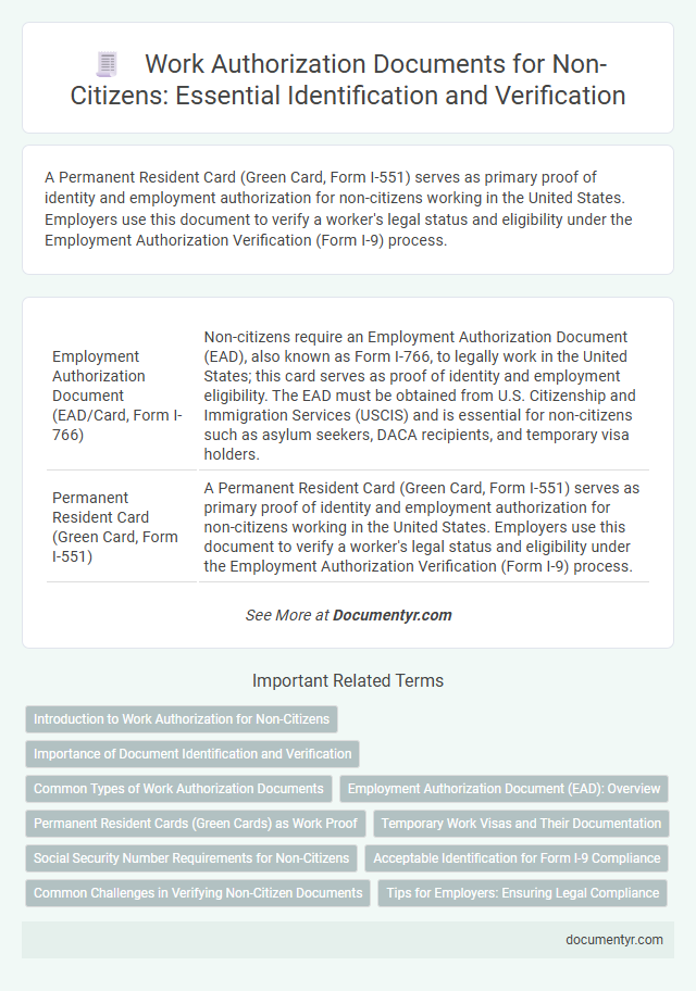 Work Authorization Documents for Non-Citizens: Essential Identification and Verification