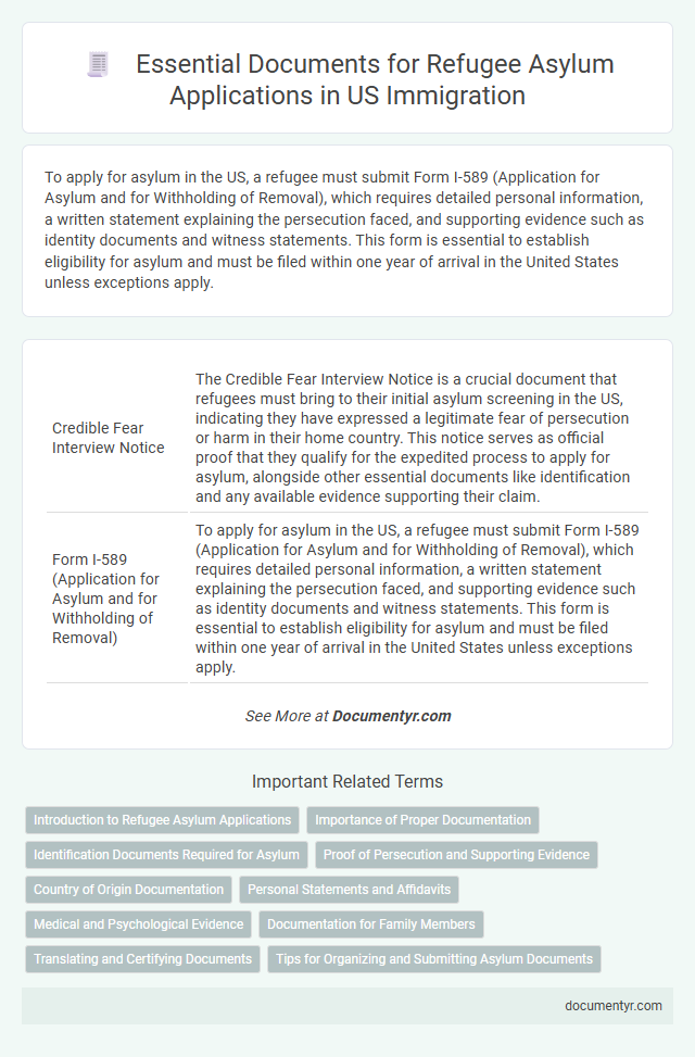 Essential Documents for Refugee Asylum Applications in US Immigration