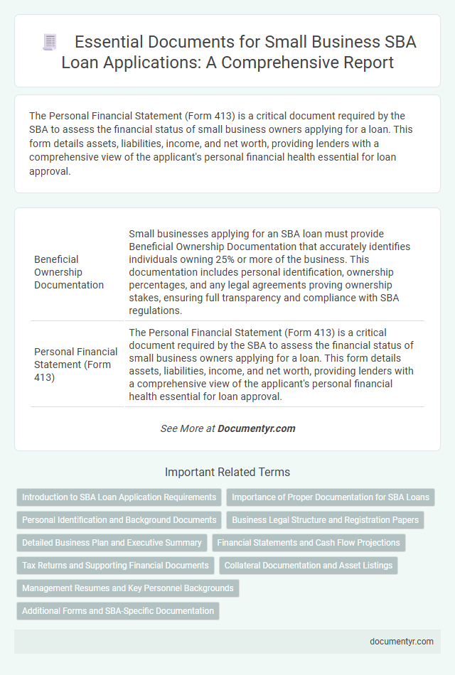 Essential Documents for Small Business SBA Loan Applications: A Comprehensive Report