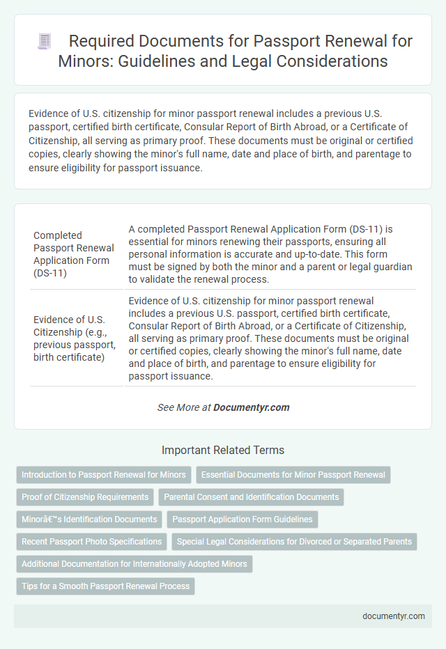 Required Documents for Passport Renewal for Minors: Guidelines and Legal Considerations