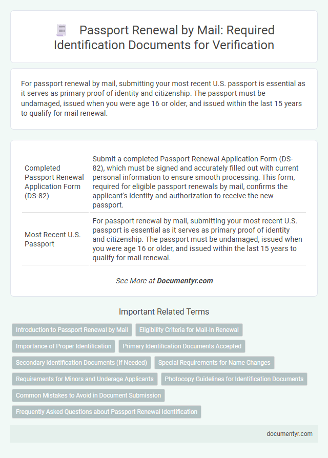 Passport Renewal by Mail: Required Identification Documents for Verification
