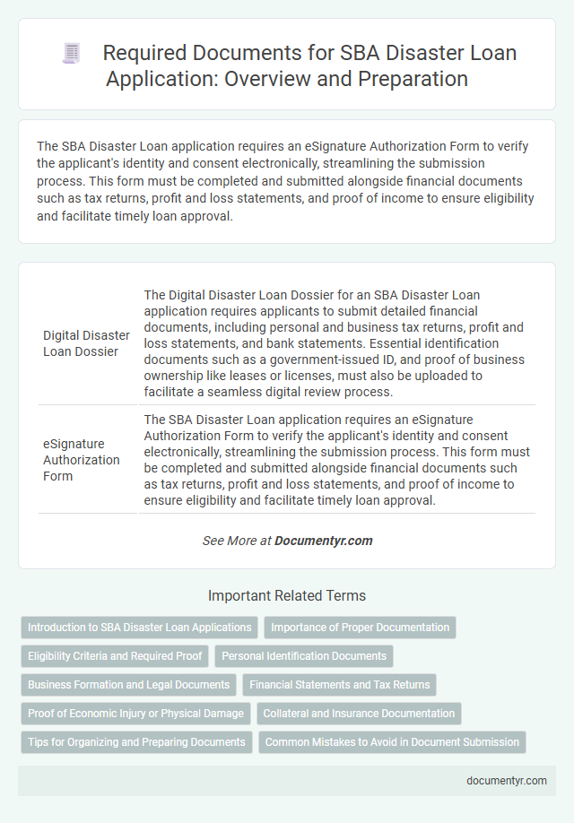 Required Documents for SBA Disaster Loan Application: Overview and Preparation