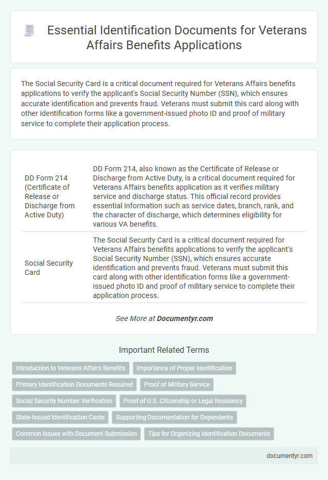 Essential Identification Documents for Veterans Affairs Benefits Applications
