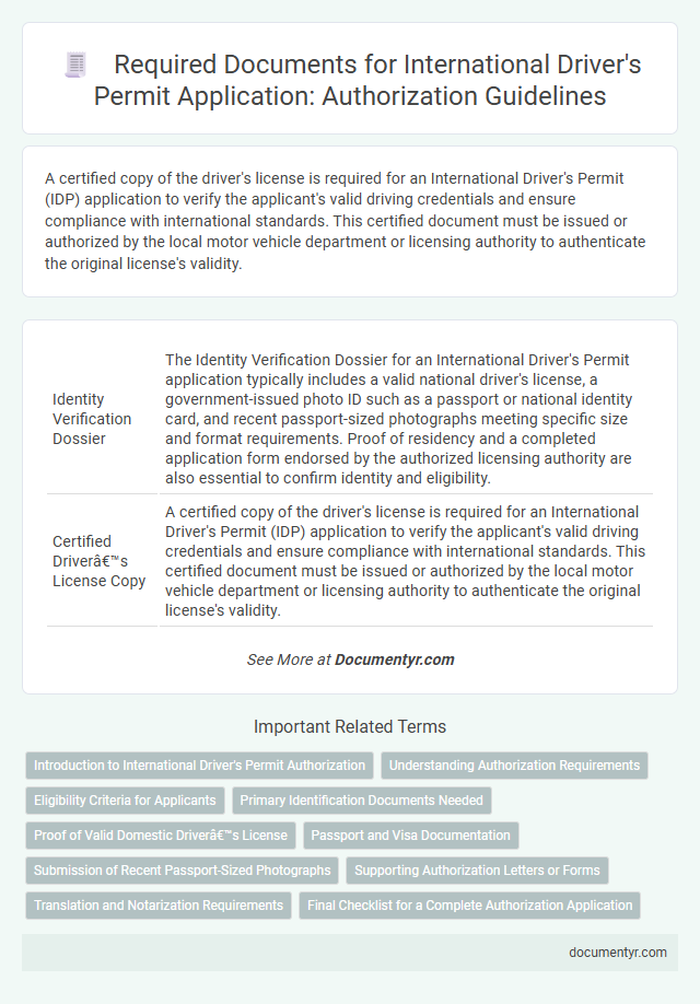 Required Documents for International Driver's Permit Application: Authorization Guidelines