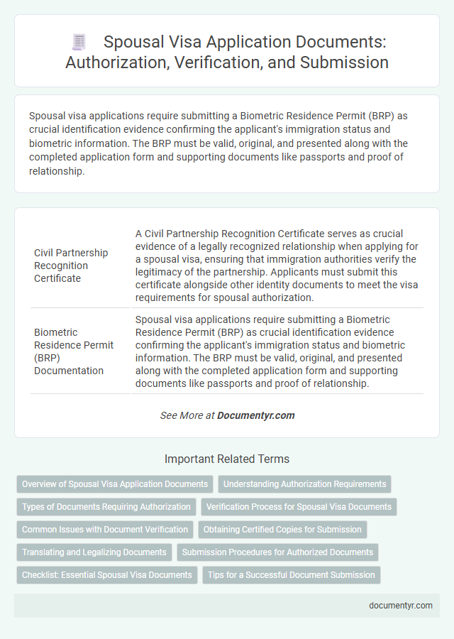 Spousal Visa Application Documents: Authorization, Verification, and Submission