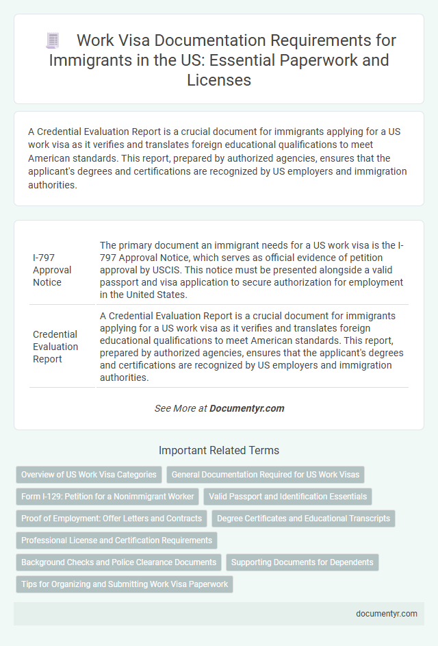 Work Visa Documentation Requirements for Immigrants in the US: Essential Paperwork and Licenses