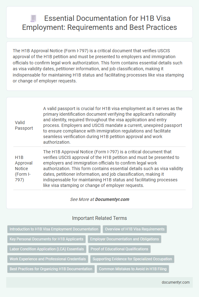 Essential Documentation for H1B Visa Employment: Requirements and Best Practices