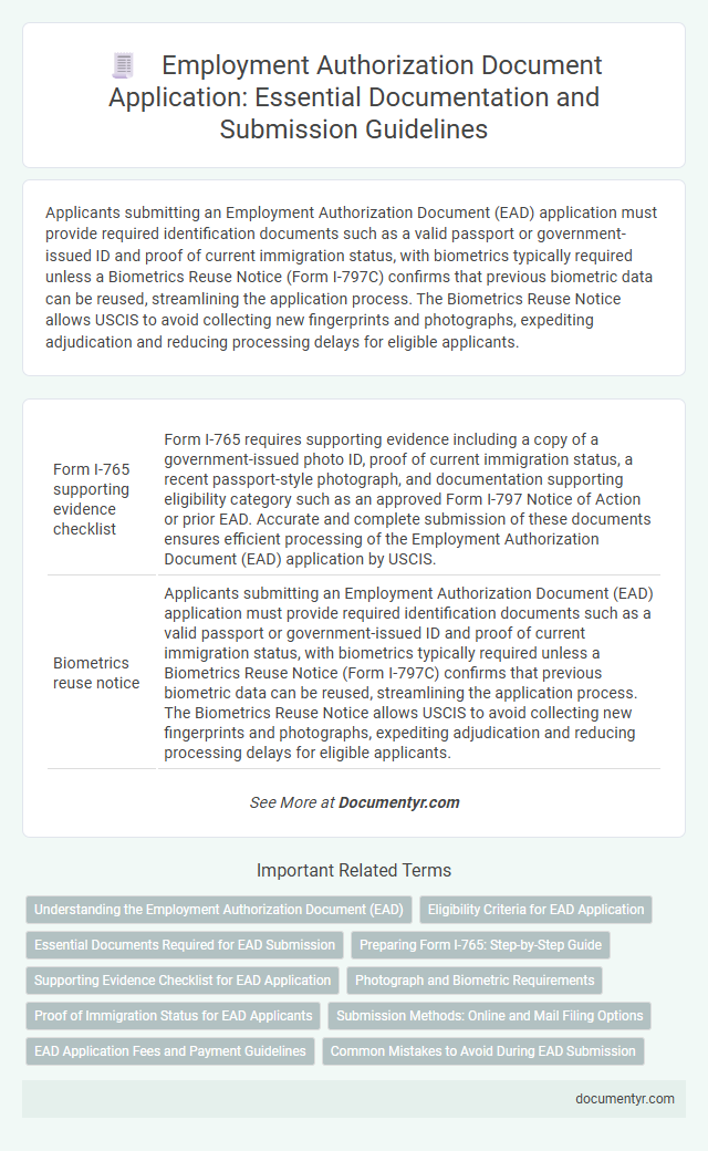 Employment Authorization Document Application: Essential Documentation and Submission Guidelines
