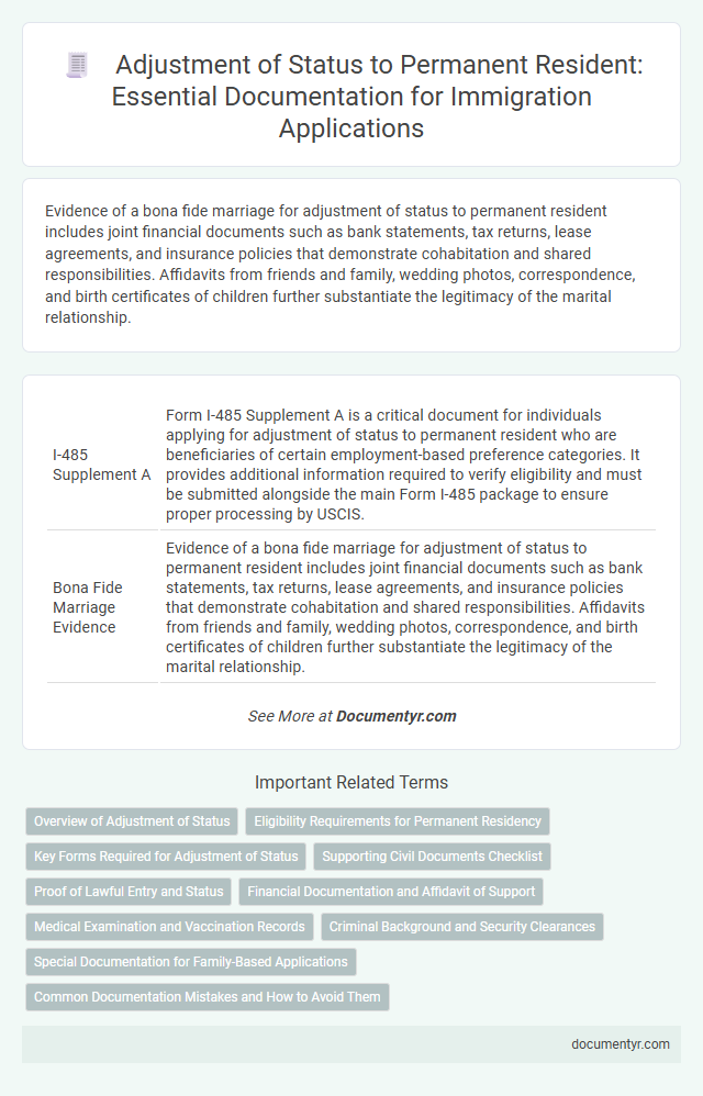 Adjustment of Status to Permanent Resident: Essential Documentation for Immigration Applications