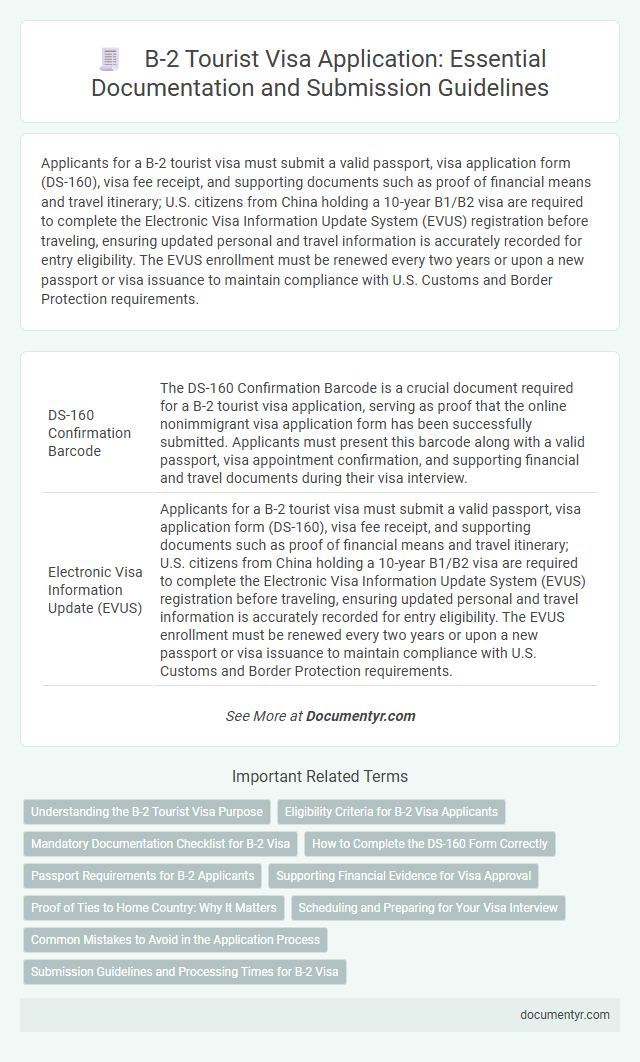 B-2 Tourist Visa Application: Essential Documentation and Submission Guidelines