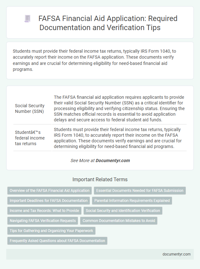 FAFSA Financial Aid Application: Required Documentation and Verification Tips