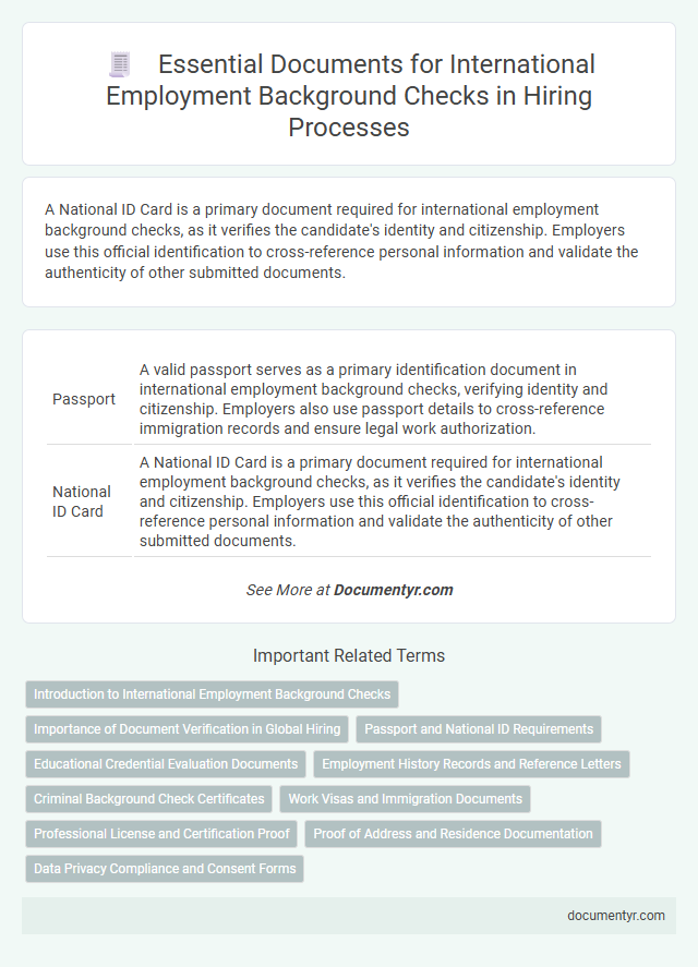 Essential Documents for International Employment Background Checks in Hiring Processes