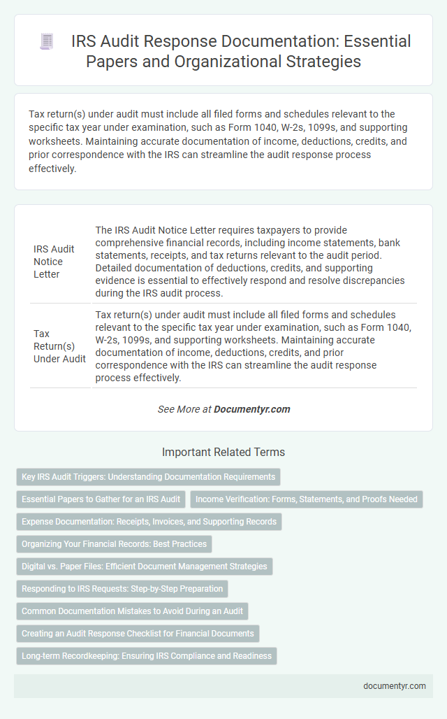 IRS Audit Response Documentation: Essential Papers and Organizational Strategies