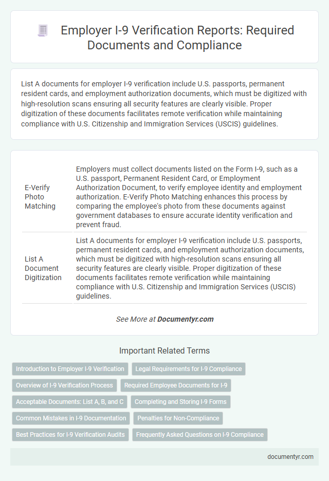 Employer I-9 Verification Reports: Required Documents and Compliance