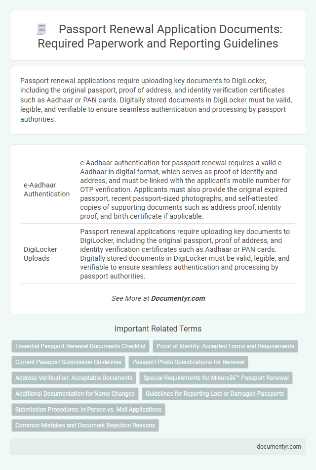 Passport Renewal Application Documents: Required Paperwork and Reporting Guidelines