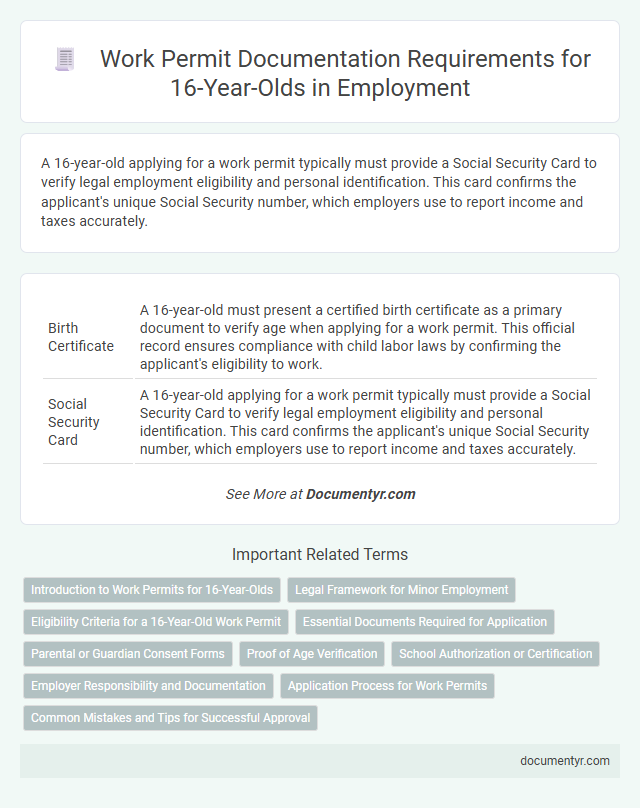Work Permit Documentation Requirements for 16-Year-Olds in Employment