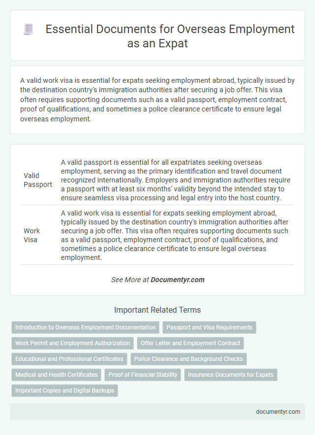 Essential Documents for Overseas Employment as an Expat